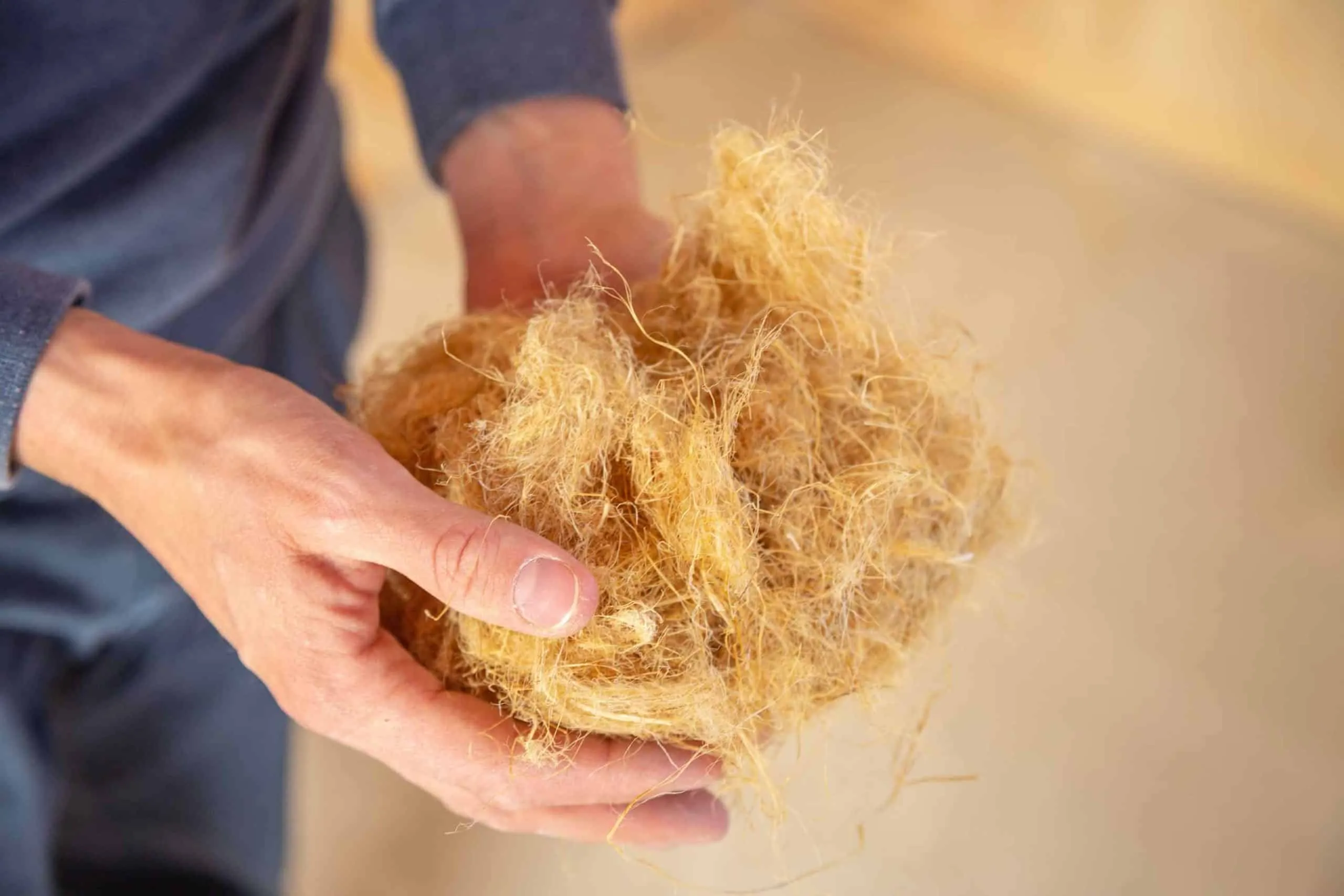 Isolant biosourcé : fibre de bois