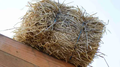 Isolation avec de la paille