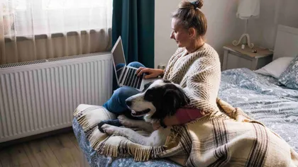 Jeune femme sur son ordinateur avec son chien à côté
